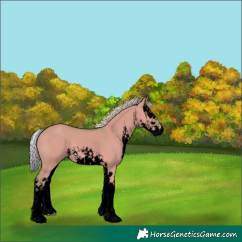 Horse Color:Void Watercolor White Spotted Silver Smoky Grullo Splash 