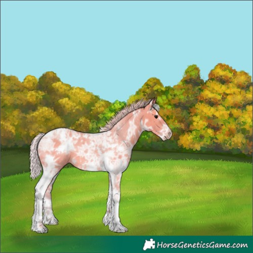 Horse Color:Watercolor White Spotted Silver Grullo Ice Tobiano 