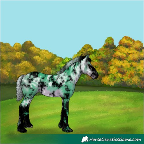 Horse Color:Void Watercolor White Spotted Silver Buckskin Ice Splash 