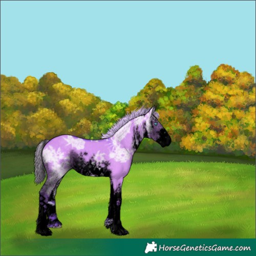 Horse Color:Void Watercolor White Spotted Silver Grullo Ice Splash