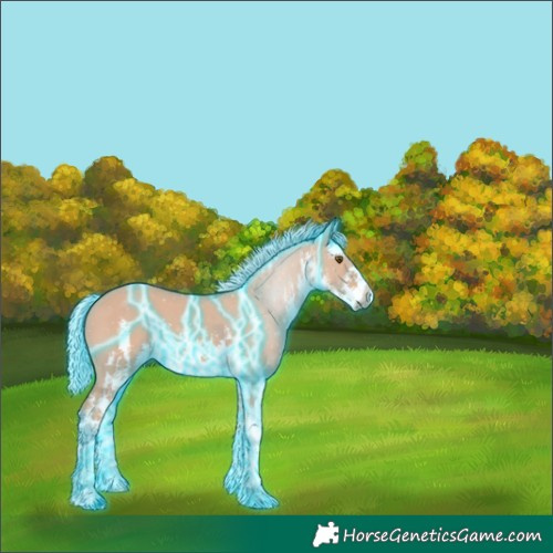 Horse Color:Thunderstruck Watercolor White Spotted Silver Buckskin Dun 