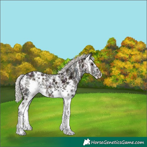 Horse Color:Midnight Silver Bay Ice Mushroom Sabino 