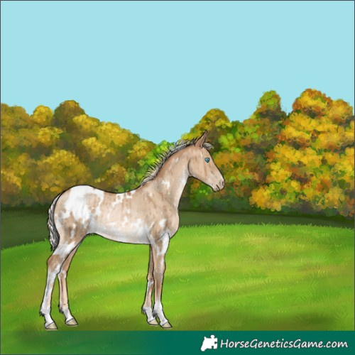 Horse Color:White Spotted Chocolate Palomino Pearl Dun Rabicano Brindle 