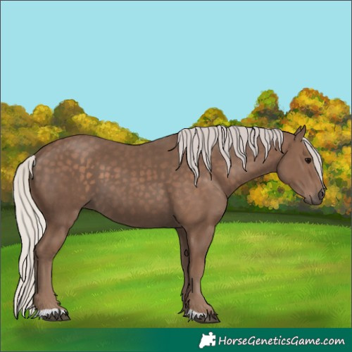 Horse Color:Unknown 