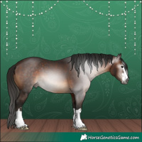Horse Color:Gray Bay
