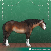 Horse Color:Gray Bay