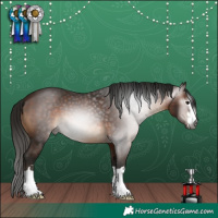 Horse Color:Gray Bay