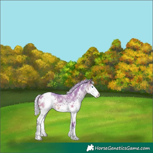 Horse Color:Watercolor White Spotted Silver Brown Dun Splash 