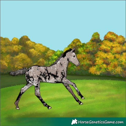 Horse Color:Void White Spotted Chocolate Silver Smoky Grullo Ice