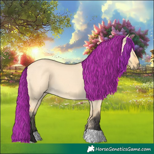 Horse Color:Buckskin Dun Tobiano 
