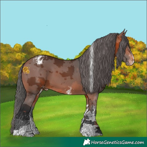 Horse Color:White Spotted Bay Merle Tobiano Varnish 