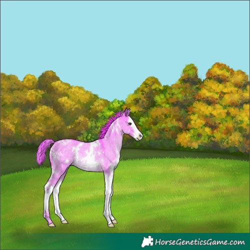 Horse Color:Watercolor White Spotted Liver Red Dun Roan Splash Rabicano 