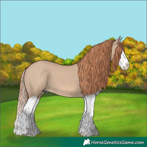 Horse Color:Red Dun Splash 