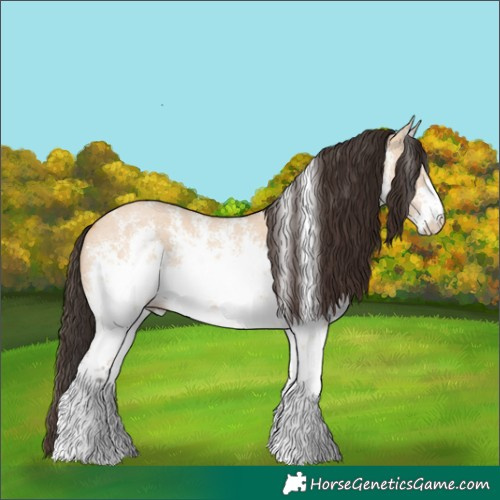Horse Color:White Spotted Bay Dun Sabino Rabicano 