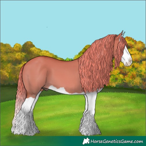 Horse Color:Red Dun Splash 