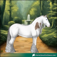 Horse Color:Bay Dun Splash Tobiano 