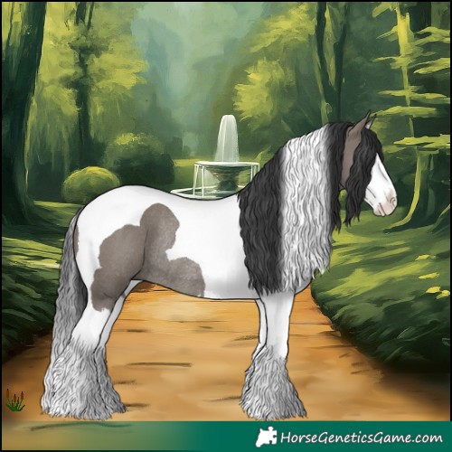 Horse Color:Grullo Splash Tobiano Rabicano 