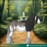 Horse Color:White Spotted Grullo Splash Rabicano 