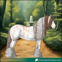 Horse Color:Bay Dun Sabino Appaloosa