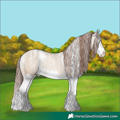 Horse Color:Powder White Amber Champagne Dun Splash Varnish Rabicano 