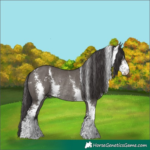 Horse Color:Smoky Grullo Sabino Rabicano 