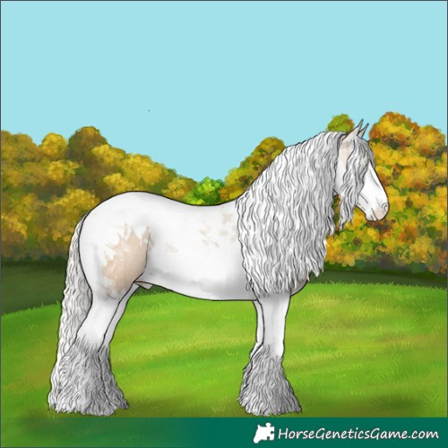 Horse Color:Silver Bay Dun Splash Tobiano Blanket Rabicano 