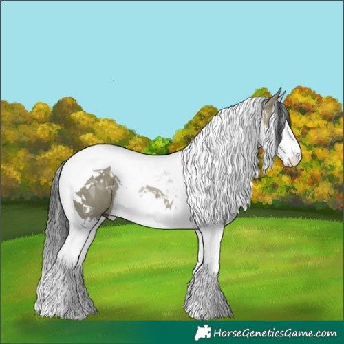 Horse Color:Bay Dun Splash Tobiano 