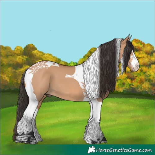 Horse Color:White Spotted Bay Dun Tobiano 
