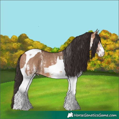 Horse Color:White Spotted Bay Dun Tobiano Brindle 