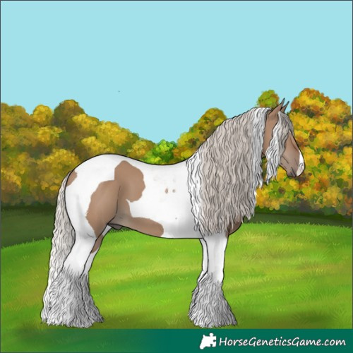 Horse Color:Silver Grullo Tobiano 