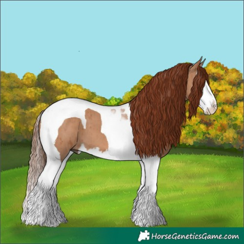 Horse Color:Red Dun Splash Tobiano Brindle 