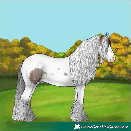Horse Color:Brown Dun Splash Tobiano Rabicano 