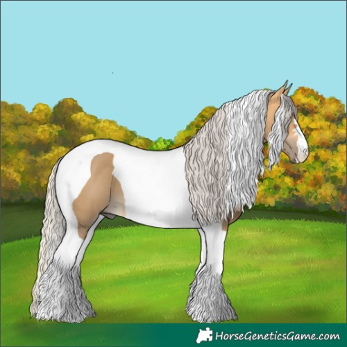 Horse Color:Silver Buckskin Dun Tobiano