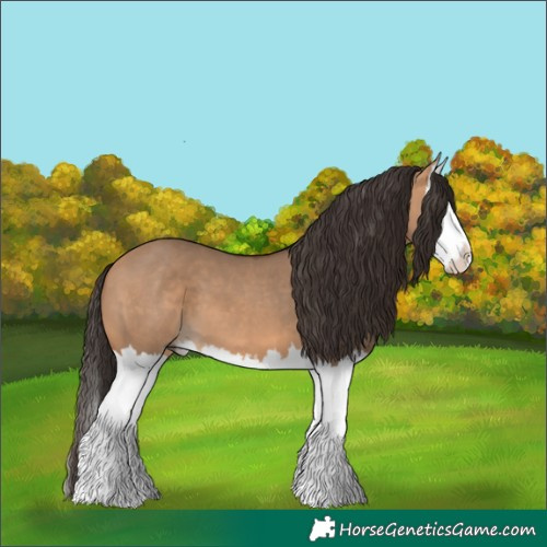 Horse Color:Bay Dun Splash