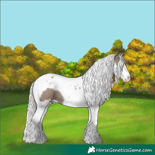 Horse Color:Silver Grullo Splash Tobiano 