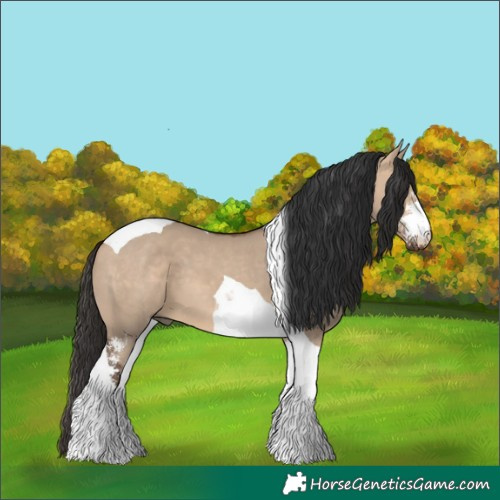 Horse Color:Bay Dun Sabino Tobiano