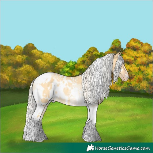 Horse Color:White Spotted Gold Cream Champagne Dun Tobiano Rabicano 