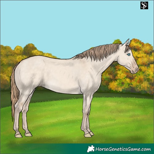 Horse Color:Perlino Dun 