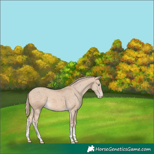 Horse Color:Perlino Merle Tobiano Rabicano