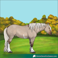 Horse Color:Liver Red Dun Mushroom Tobiano Rabicano