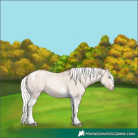 Horse Color:Gold Champagne Dun Mushroom Tobiano Rabicano