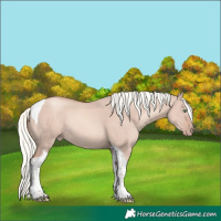 Horse Color:Gold Champagne Dun Mushroom Tobiano Rabicano 