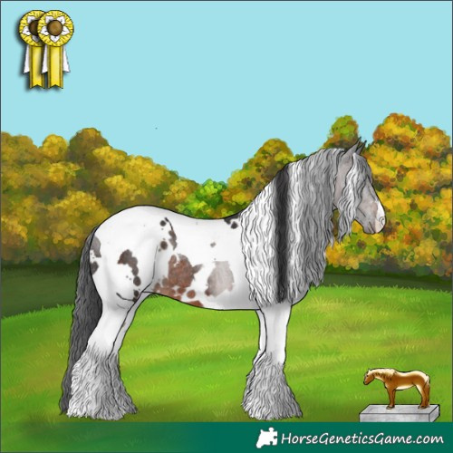 Horse Color:White Spotted Brown Tobiano Rabicano