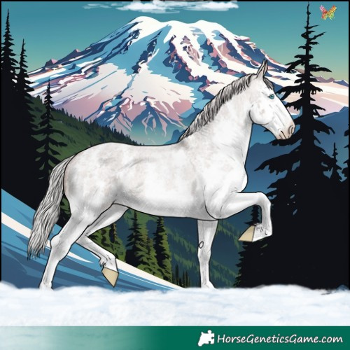 Horse Color:Silver Brown Roan Dun Mushroom Sabino Splash Appaloosa