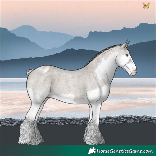 Horse Color:Silver Grullo Roan Mushroom Splash Varnish 