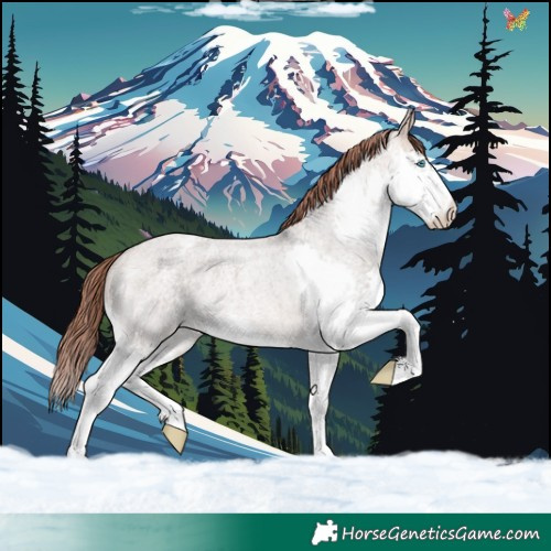 Horse Color:Bay Roan Dun Mushroom Splash Appaloosa Rabicano