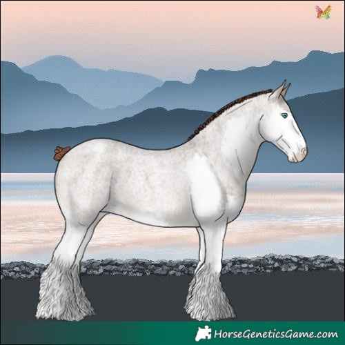 Horse Color:Bay Roan Dun Mushroom Splash Varnish Rabicano 