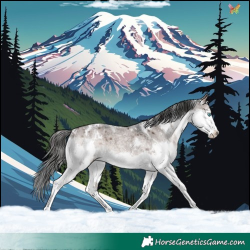 Horse Color:White Spotted Brown Roan Dun Mushroom Splash Rabicano 