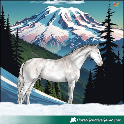 Horse Color:White Spotted Silver Brown Roan Dun Mushroom Splash Rabicano Brindle 