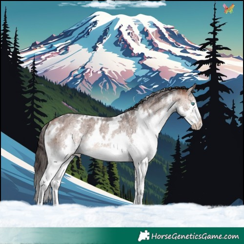Horse Color:White Spotted Bay Roan Dun Mushroom Splash Rabicano Brindle